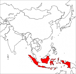 indonesia