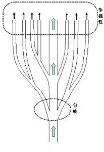 NL_vol170_figure2